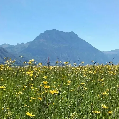 Blum - Vom Ende Comfortable