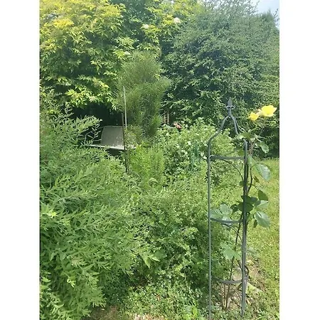 Feriehus Blum - Vom Ende Comfortable *