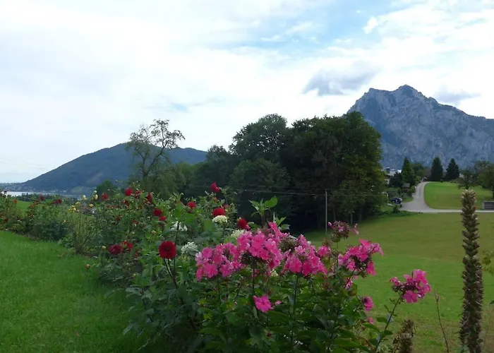 Blum - Vom Ende Comfortable