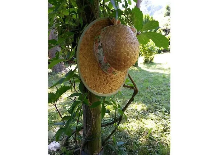 Blum - Vom Ende Comfortable Feriehus