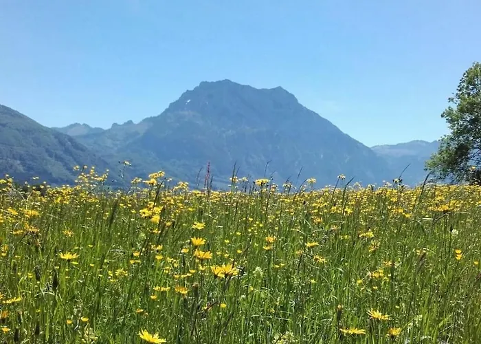 Blum - Vom Ende Comfortable