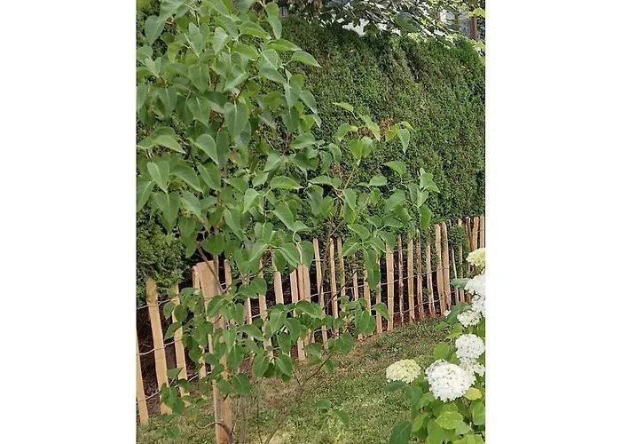 Prázdninový dům Blum - Vom Ende Comfortable *