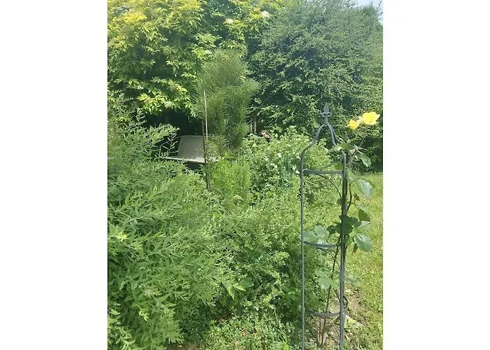 Prázdninový dům Blum - Vom Ende Comfortable *